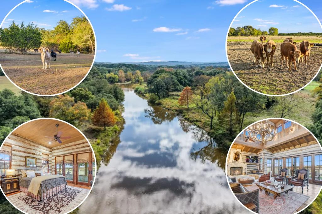 Rare 886-acre Texas 'safari' with its own exotic wildlife lists for $42.5 million